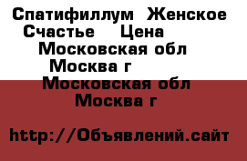 Спатифиллум (Женское Счастье) › Цена ­ 100 - Московская обл., Москва г.  »    . Московская обл.,Москва г.